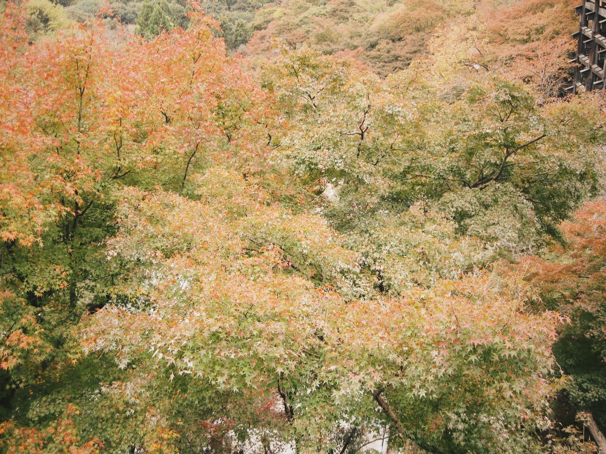 Kyoto Kiyomizu-dera 기요미즈데라