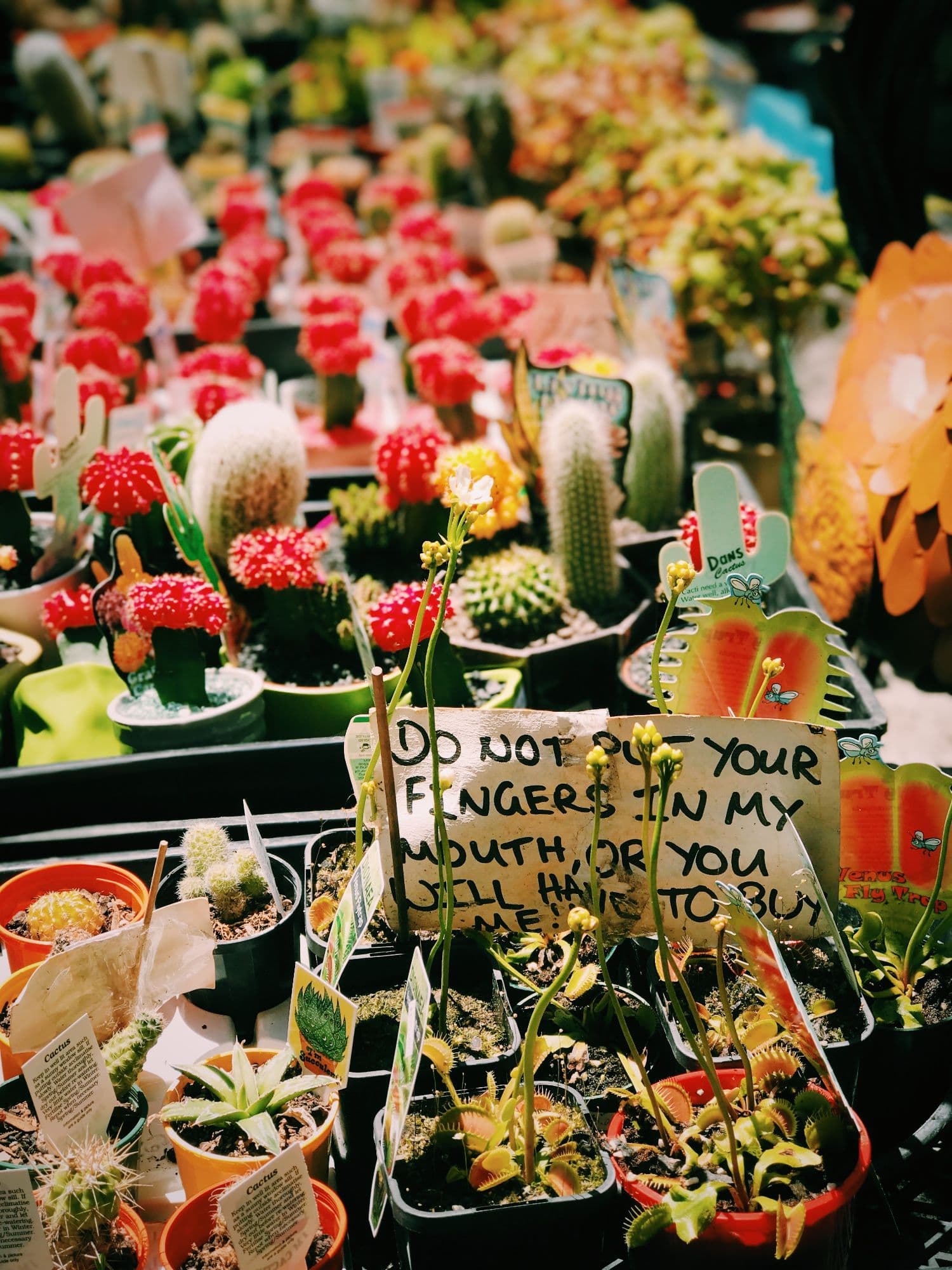 Sydney Flower shop