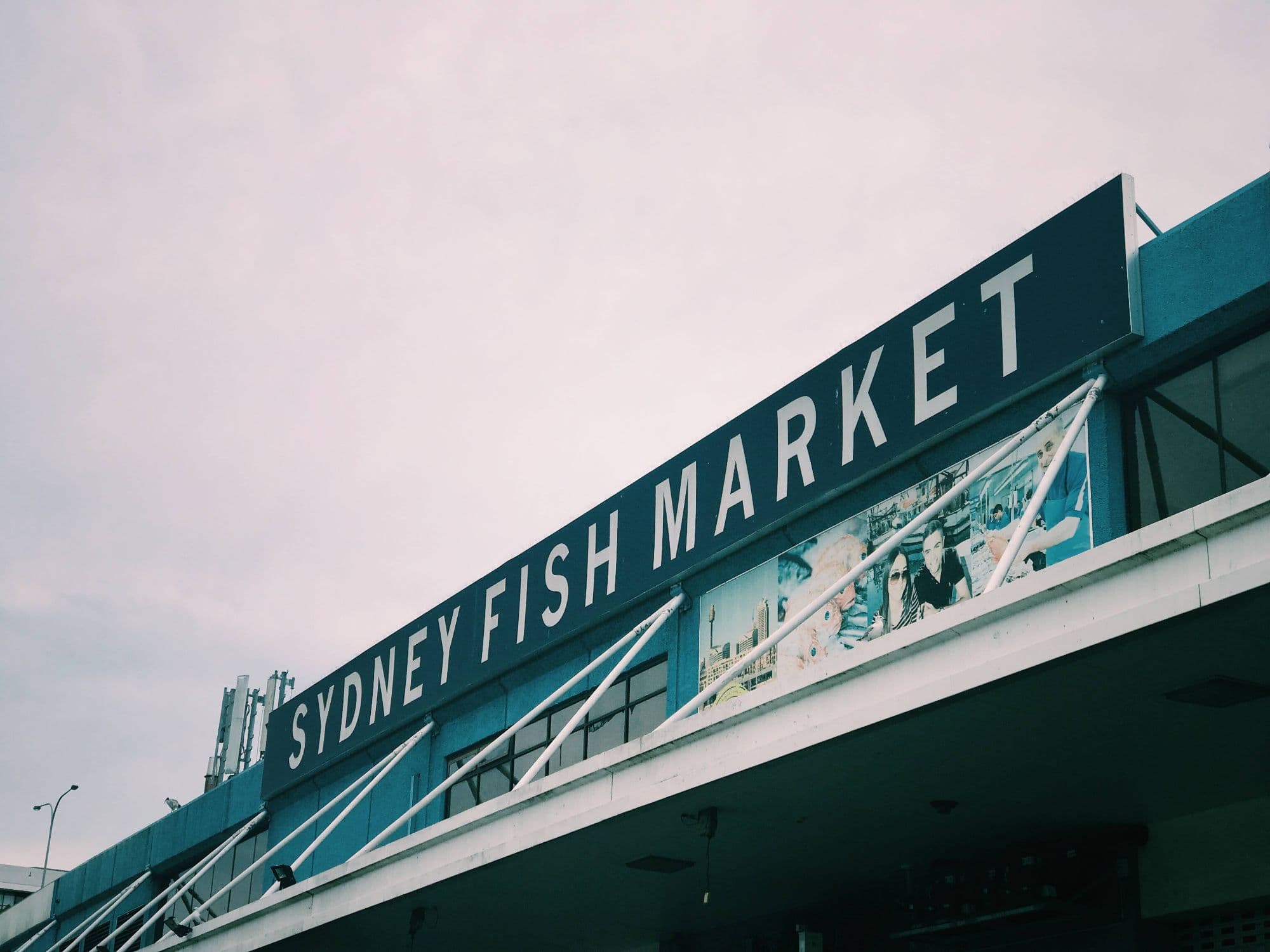 Sydney Fish Market