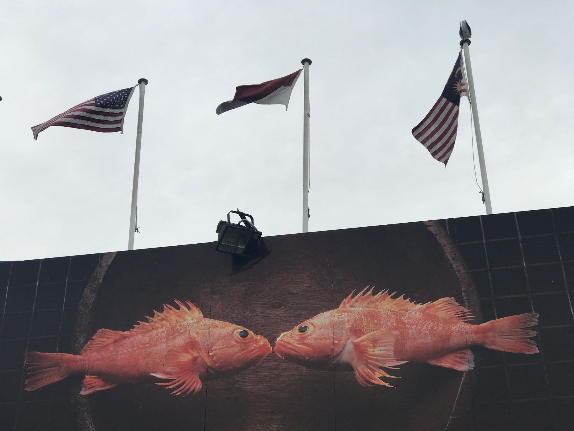 Sydney Fish Market